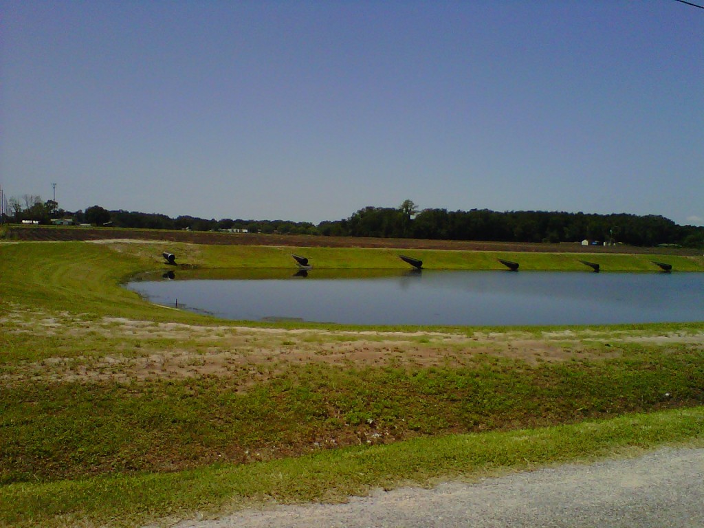 Environmental Assessments